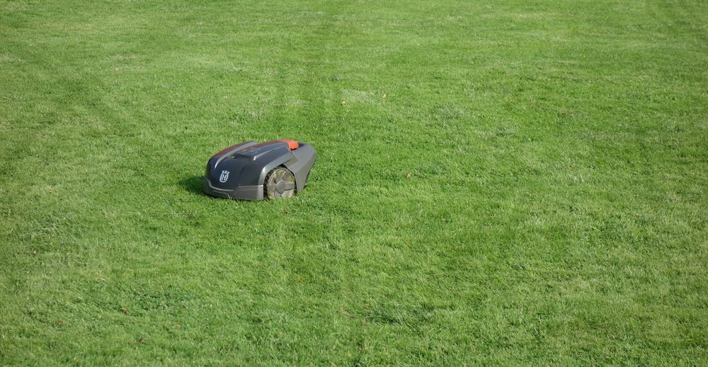 Robotic lawn mower with visible track marks on grass