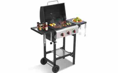 The 5 Best Inexpensive Outdoor Grills of 2026