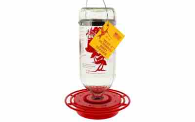 The 9 Best Bird Feeder For Hummingbirds of 2026