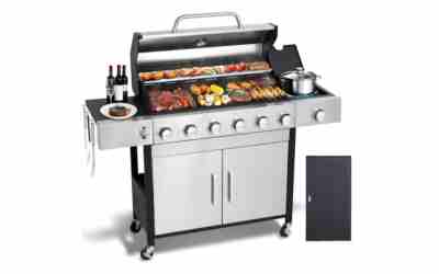 The 10 Best Barbecue Grills For Backyard of 2026