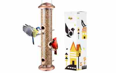 The 10 Best Bird Feeder For Finches of 2026