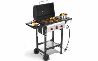 The 10 Best Affordable Gas Grills of 2026