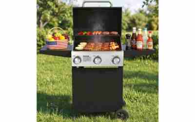 The 4 Best Inexpensive Gas Grills of 2026