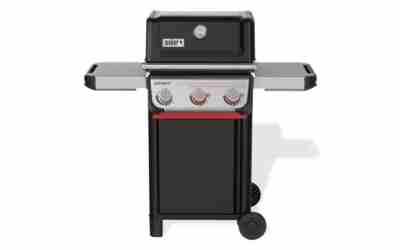 The 10 Best Weber Grills of 2026