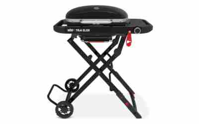 The 9 Best Small Gas Grills of 2026