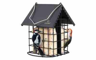The 8 Best Bird Feeder For Woodpeckers of 2026