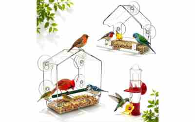 The 10 Best Window Hummingbird Feeder of 2026