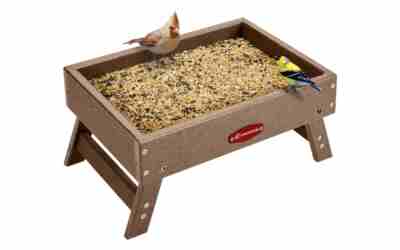 The 10 Best Bird Feeder For Doves of 2026
