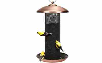 The 10 Best Bird Feeder For Goldfinches of 2026