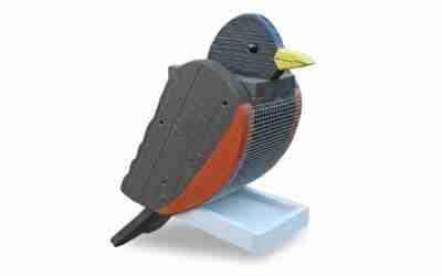 The 9 Best Bird Feeder For Robins of 2026
