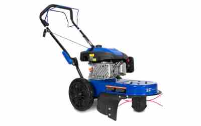 The 5 Best 4 Cycle Gas Trimmer of 2026