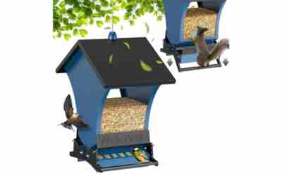 The 7 Best Bird Feeder For Chickadees of 2026