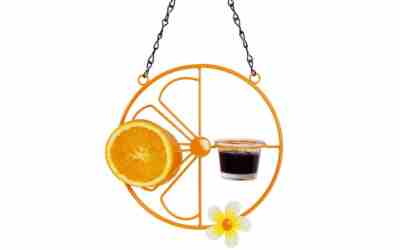 The 10 Best Bird Feeder For Orioles of 2026