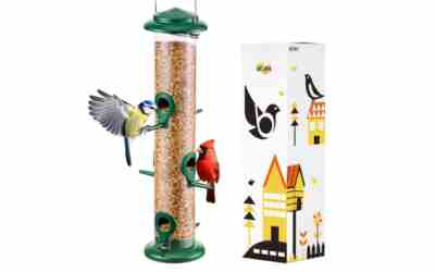 The 10 Best Bird Feeder For Sparrows of 2026