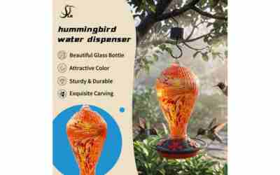 The 9 Best Hummingbird Feeder With Ant Moat of 2026