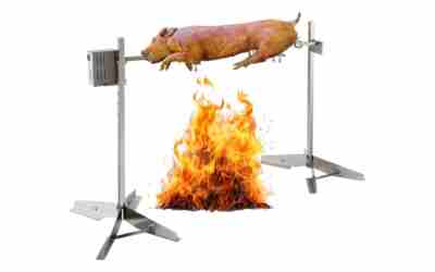 The 10 Best Rotisserie Grill of 2026