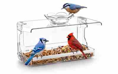 The 4 Best Bird Feeder For Grandparents of 2026