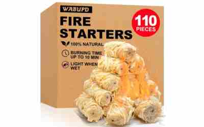 The 10 Best Starter Smoker of 2026
