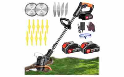 The 8 Best Toro Lawn Mowers of 2026