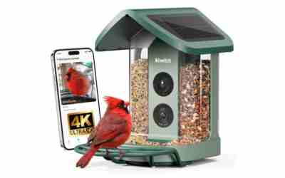 The 5 Best Birdhouse With Camera of 2026