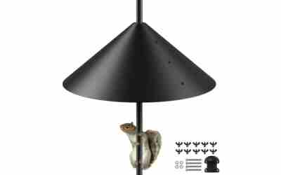 The 3 Best Squirrel Baffle For Bird Feeder of 2026