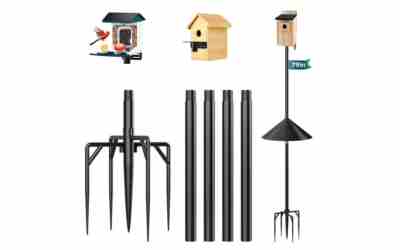The 7 Best Bird Feeder Pole With Squirrel Baffle of 2026