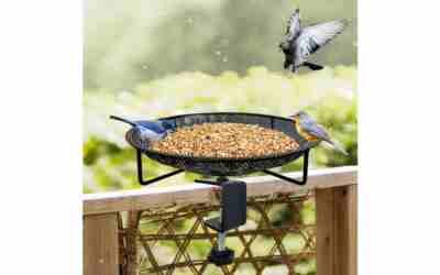 The 7 Best Deck Mounted Bird Feeder of 2026