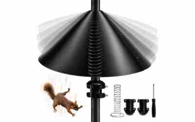 The 4 Best Squirrel Baffle For Bird Feeder Pole of 2026