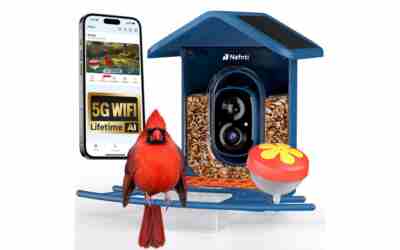 The 10 Best Smart Bird Feeder Without Subscription of 2026