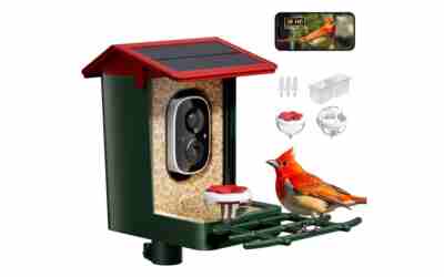 The 4 Best Squirrel Proof Bird Feeder With Camera of 2026