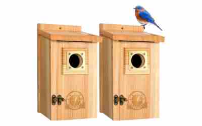The 10 Best Birdhouse For Bluebirds of 2026