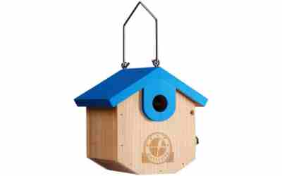 The 10 Best Birdhouse For Chickadees of 2026