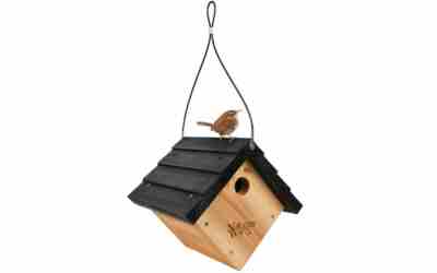 The 10 Best Birdhouse For Wrens of 2026