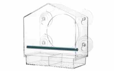 The 10 Best Squirrel Proof Window Bird Feeder of 2026
