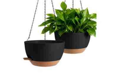 The 8 Best Soil Mix for Planters of 2026