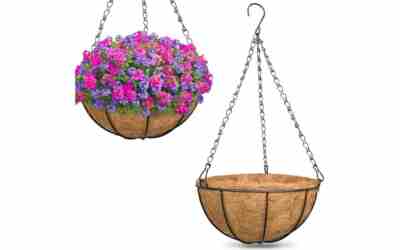 The 8 Best Concrete for Planters of 2026