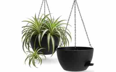 The 8 Best Material For Outdoor Planters of 2026