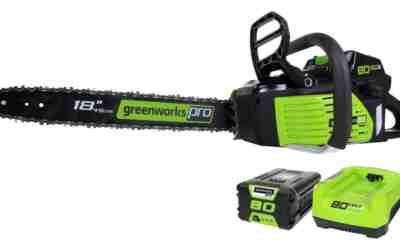 The 8 Best Tree Chain Saws of 2026