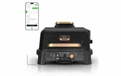 The 7 Best Portable Electric Smoker of 2026