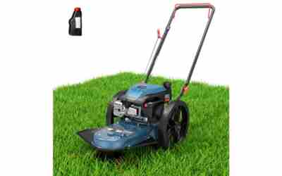 The 8 Best Engine Oil For Lawn Mowers of 2026