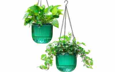 The 8 Best Elevated Planters of 2026