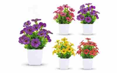 The 10 Best Scented Plants of 2026