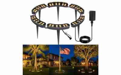 The 7 Best Palm Tree Ring Lights of 2026