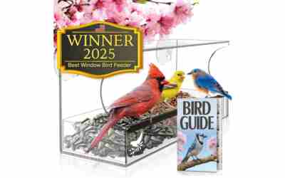 Nature’s Hangout Window Bird Feeder Acrylic Review 2026