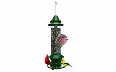 Brome Squirrel Buster Plus Bird Feeder Review 2026