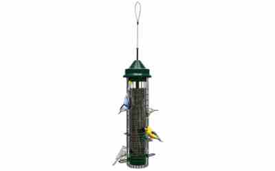 Squirrel Buster Classic Squirrel-proof Bird Feeder 2.4 lb Review 2026