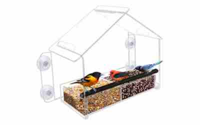 Nature Gear Clear Acrylic Window Bird Feeder Review 2026