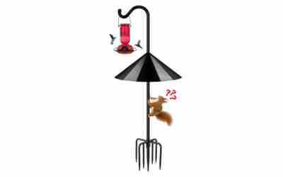 FEED GARDEN Squirrel Proof Bird Feeder Pole Review 2026