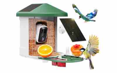 HARYMOR Q8 Bird Feeder Camera Review 2026