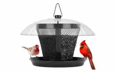 Kingsyard Dual Mesh Metal Bird Feeder KYBF106CP02 Review 2026